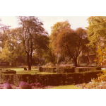 Thumbnail image for Walsall Arboretum